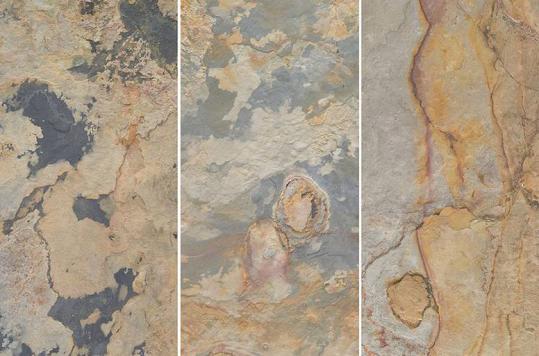 Amenajare terasă şi curte