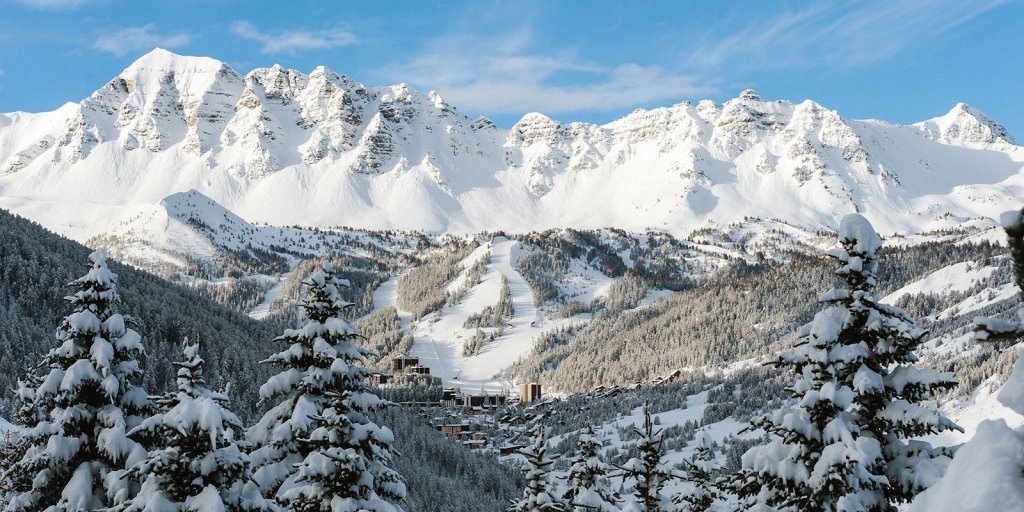 Case din bole de lemn realizate de români în Franța