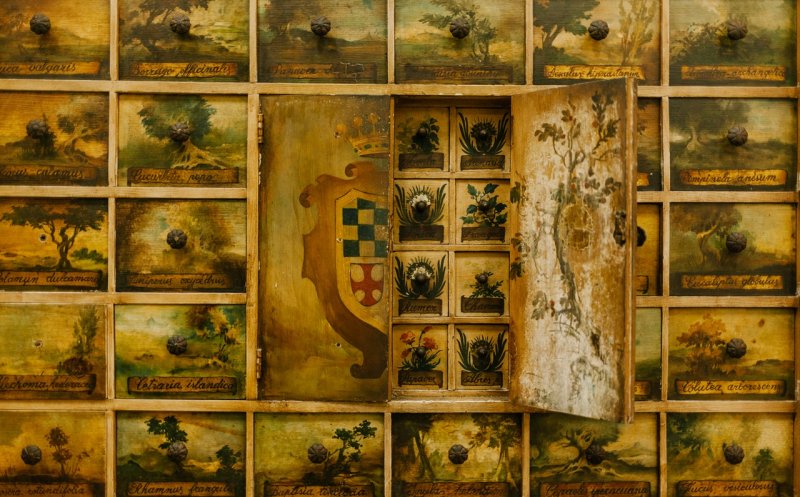 Casa Magazin:  Mobilă pictată manual