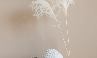 Cum să fii Zen. La propriu și la figurat.