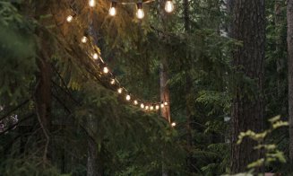 Cum să-ți luminezi curtea?