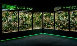 Terarii automatizate, unice în Europa și produse în România