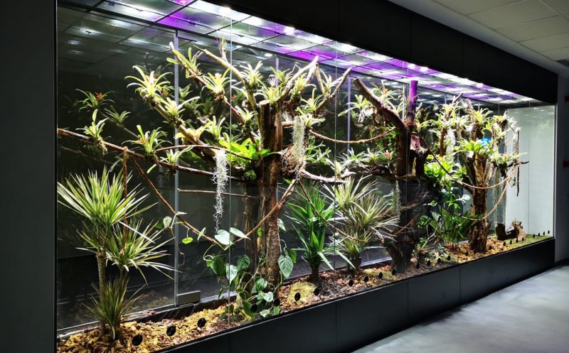 Terarii automatizate, unice în Europa și produse în România