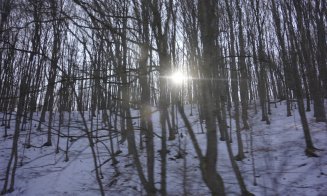 Un design care oferă luxul simplității și farmecul autentic al Transilvaniei