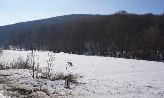 Un design care oferă luxul simplității și farmecul autentic al Transilvaniei