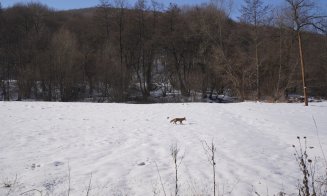 Un design care oferă luxul simplității și farmecul autentic al Transilvaniei