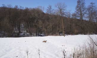 Un design care oferă luxul simplității și farmecul autentic al Transilvaniei