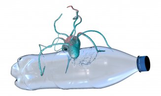 O enzimă salvatoare