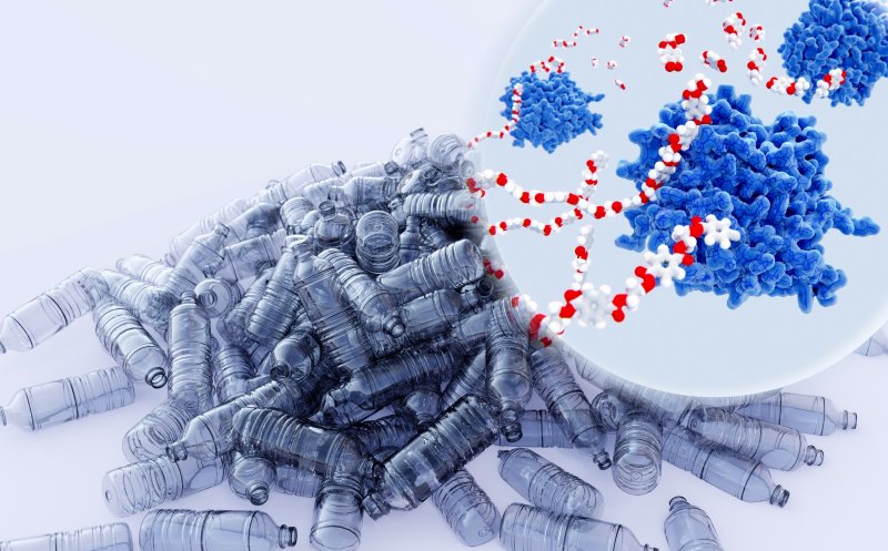 O enzimă salvatoare