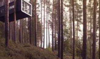 TreeHotel, un complex hotelier unic