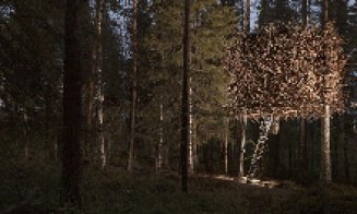 TreeHotel, un complex hotelier unic