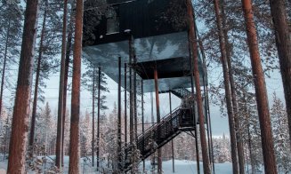 TreeHotel, un complex hotelier unic