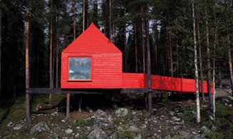 TreeHotel, un complex hotelier unic