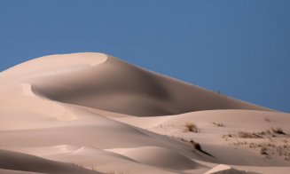 Cu gândul la viitor