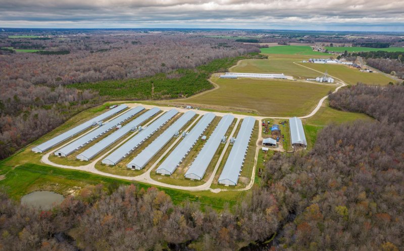 Energie verde din agricultură